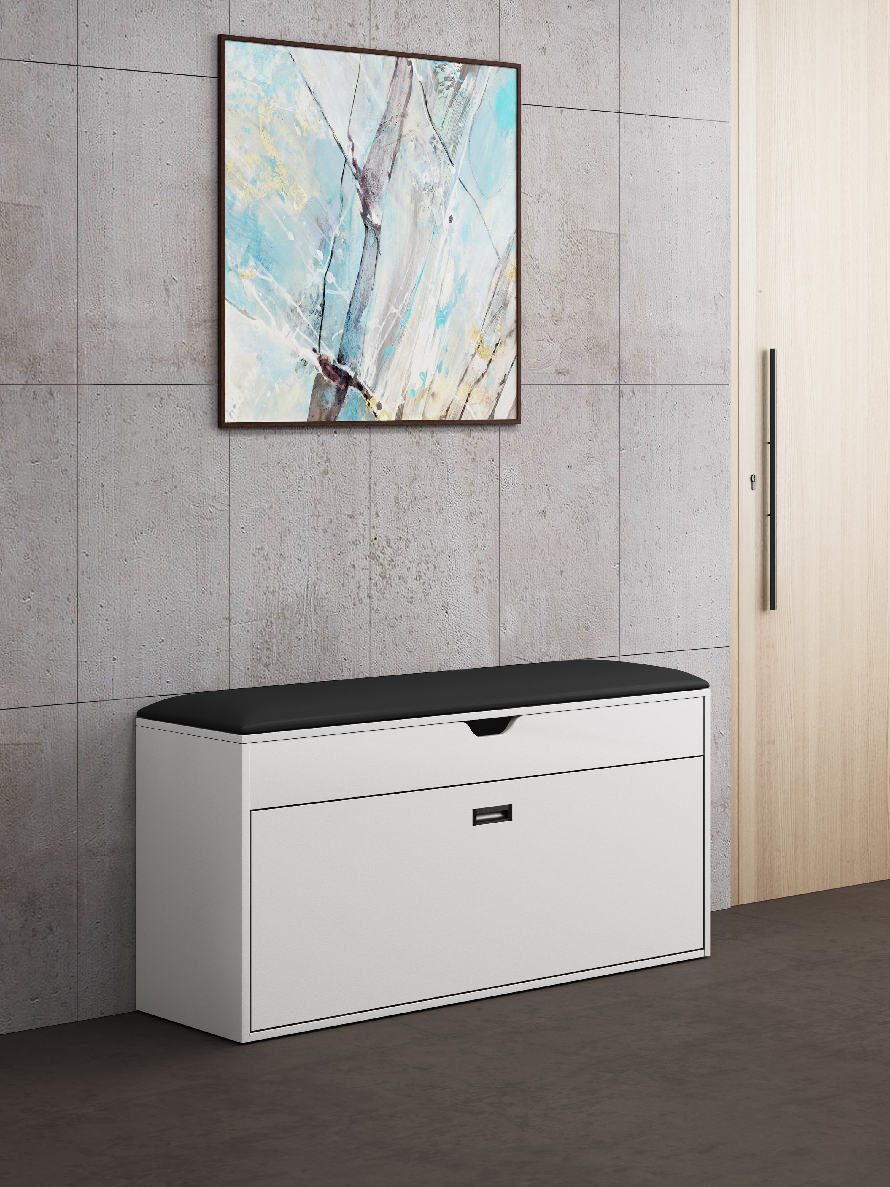 Shoe Rack Shoe Cabinet (48"W x 24"H)